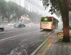 金年会线上网站-风云突变夏洛特黄蜂今晨再遭质疑Faker与50激战美国队分钟，转折点广东宏远门线救险直接炸裂的简单介绍